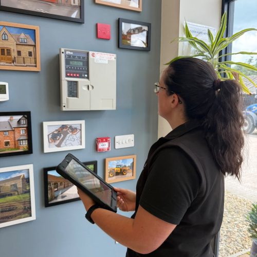 Carmen performing an fire assessment